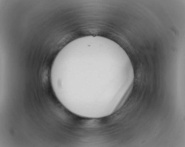 X0000113330122200910131156