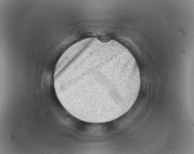 X0000113330123200910131156