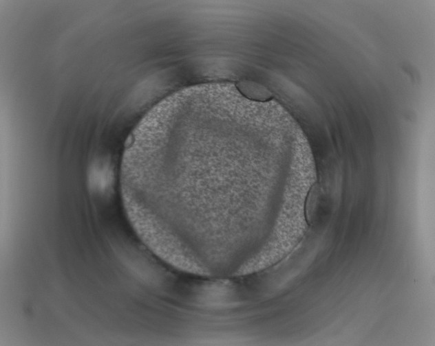 X0000113330124200910131156