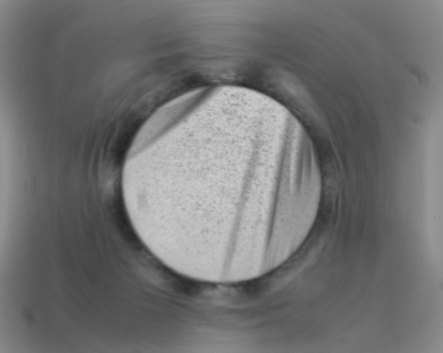 X0000113330125200910131156