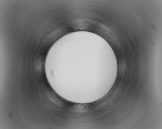 X0000113330126200910131156