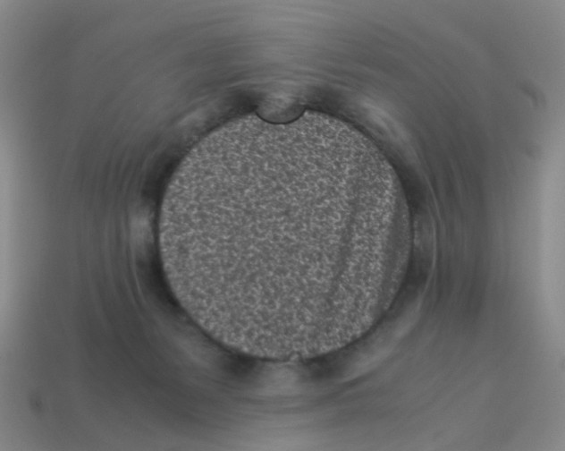 X0000113330127200910131156