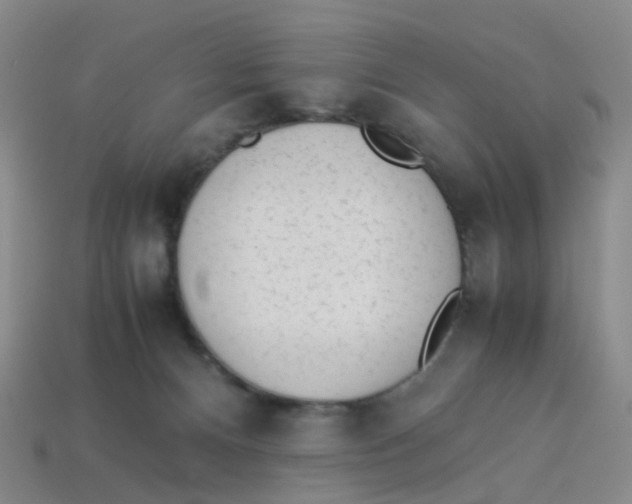 X0000113330128200910131156
