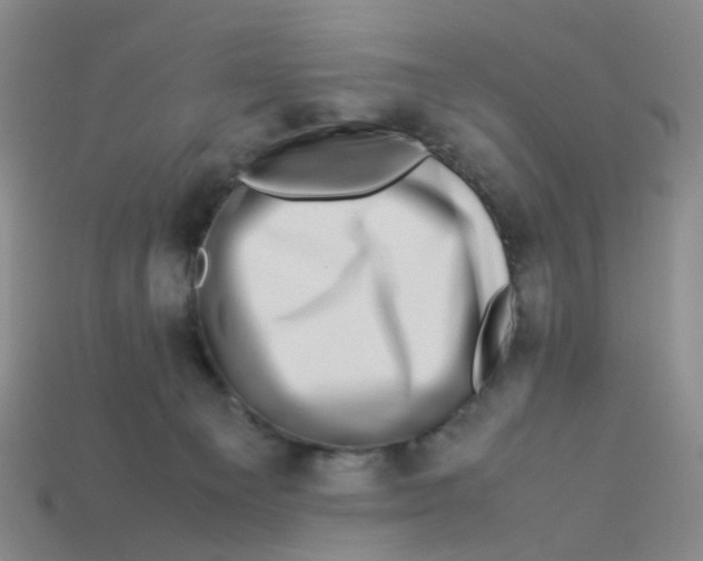 X0000113330129200910131156