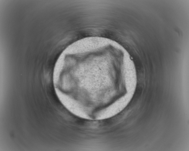 X0000113330131200910131156
