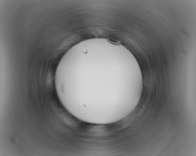 X0000113330132200910131156