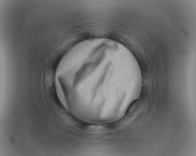 X0000113330133200910131156