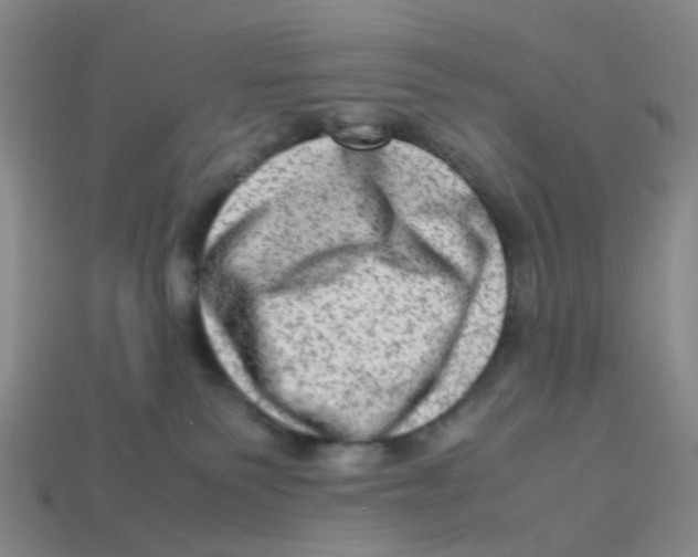X0000113330135200910131156