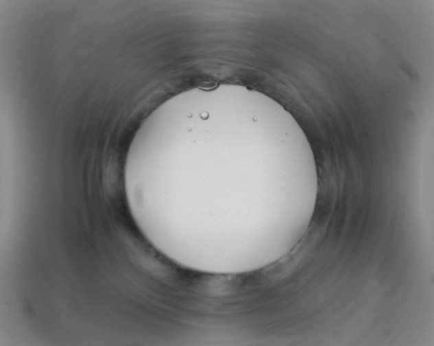 X0000113330136200910131156