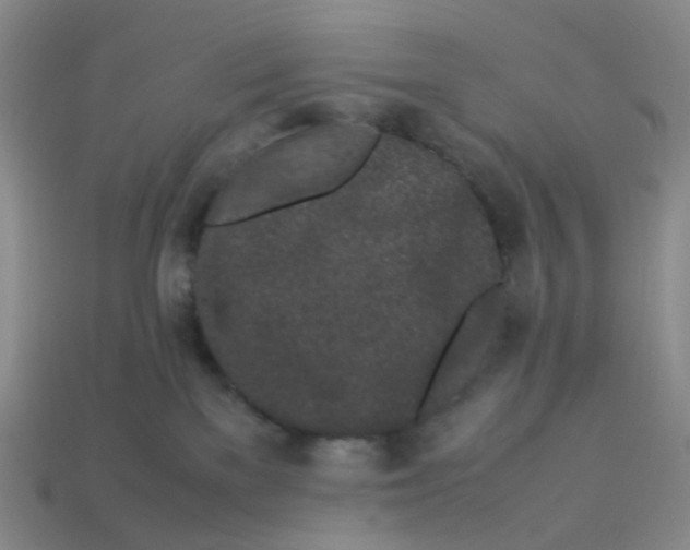X0000113330137200910131156