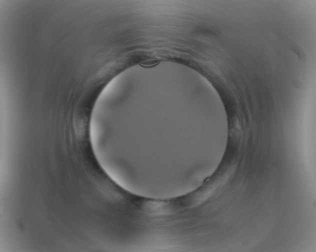 X0000113330139200910131156