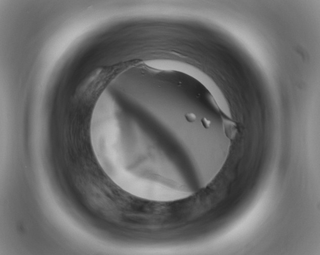 X0000113330143200910131156