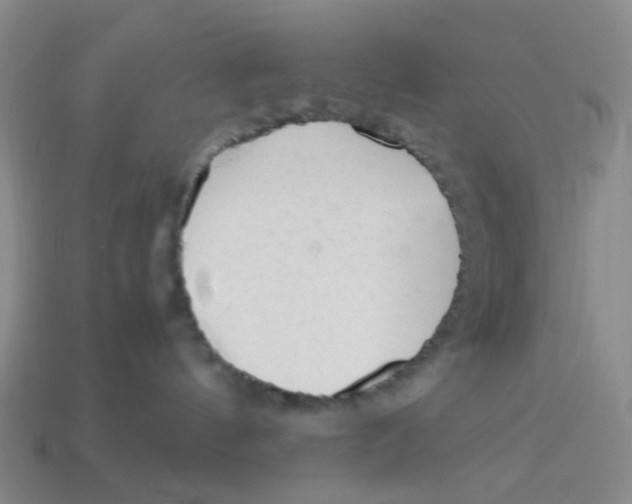 X0000113330144200910131156