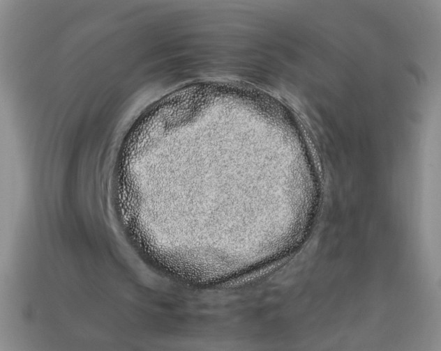 X0000113330145200910131155