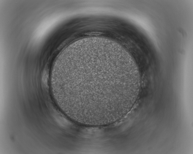 X0000113330146200910131155