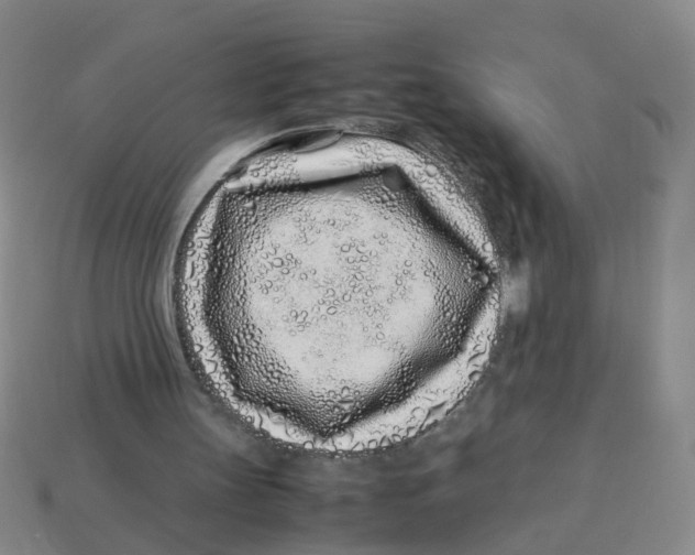 X0000113330147200910131155