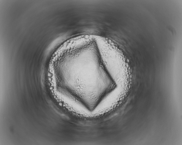 X0000113330149200910131155