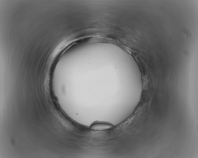 X0000113330150200910131156