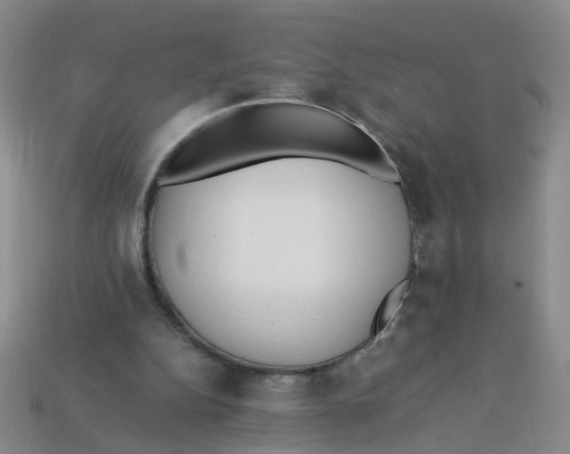 X0000113330152200910131156