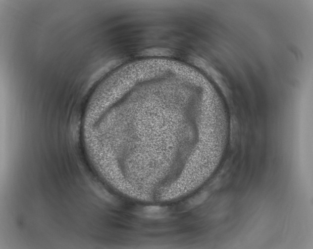 X0000113330153200910131156