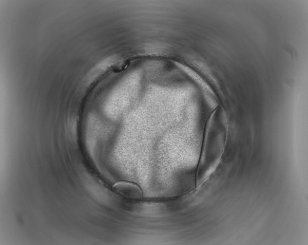 X0000113330154200910131156