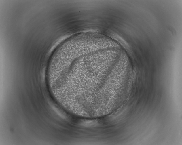 X0000113330155200910131156