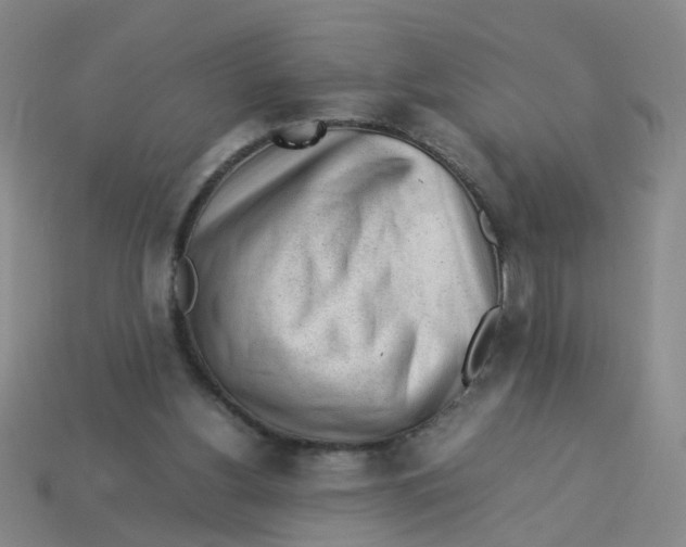 X0000113330156200910131156