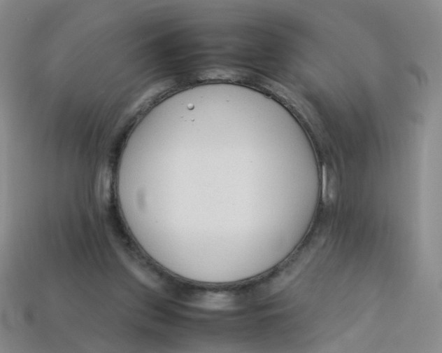 X0000113330157200910131156
