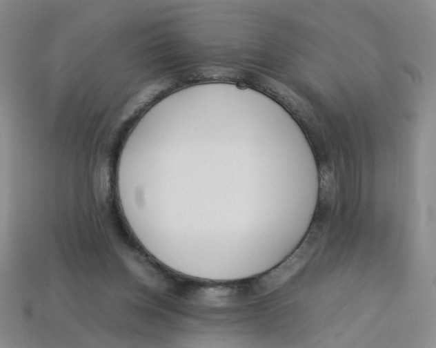 X0000113330158200910131156