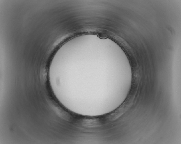 X0000113330160200910131156