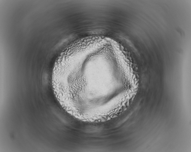 X0000113330161200910131156