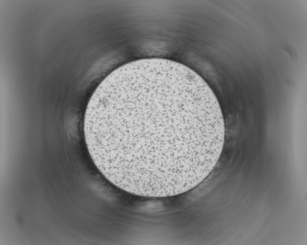 X0000113330162200910131156
