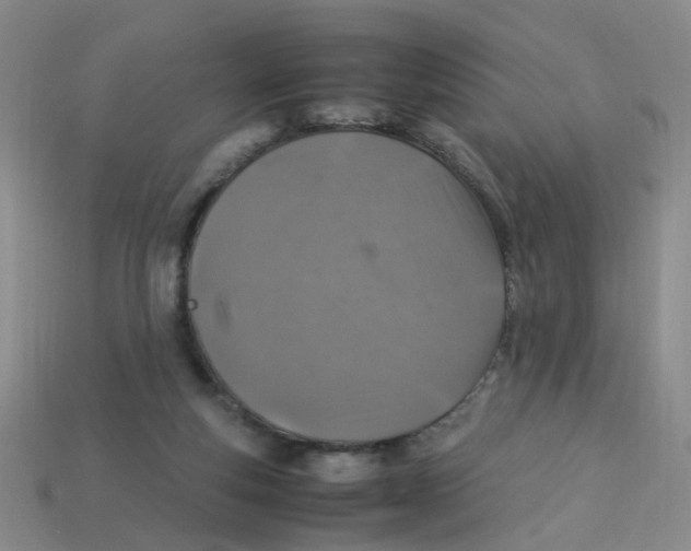 X0000113330163200910131156