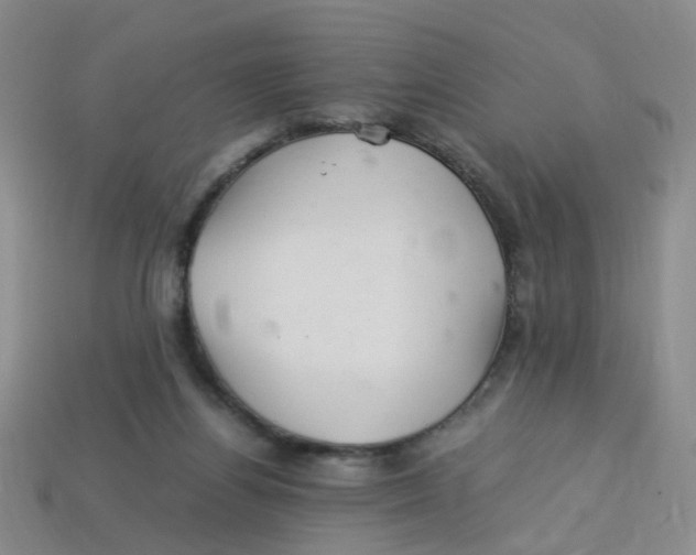 X0000113330164200910131156
