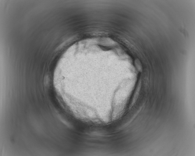 X0000113330165200910131156