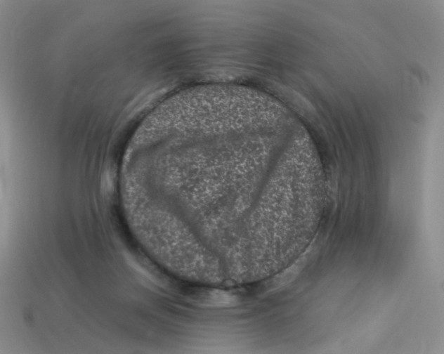 X0000113330166200910131156