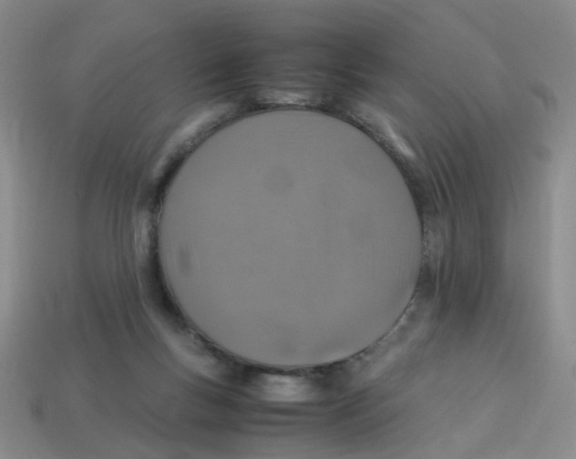 X0000113330167200910131156