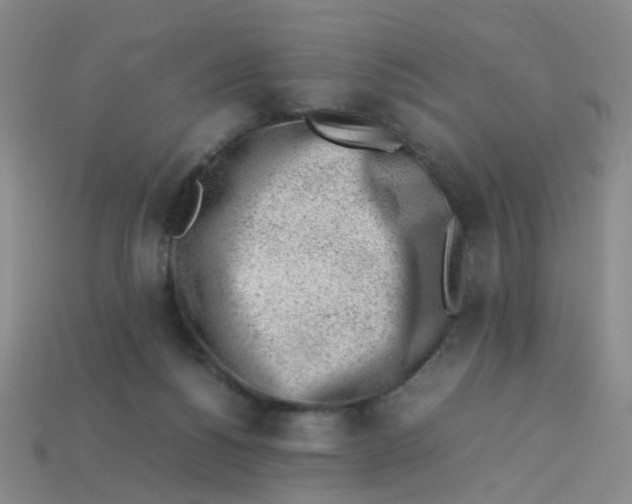 X0000113330168200910131156