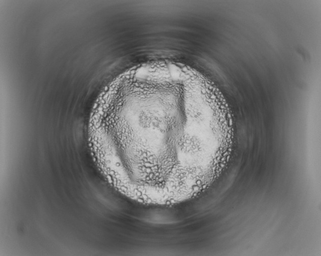 X0000113330169200910131156