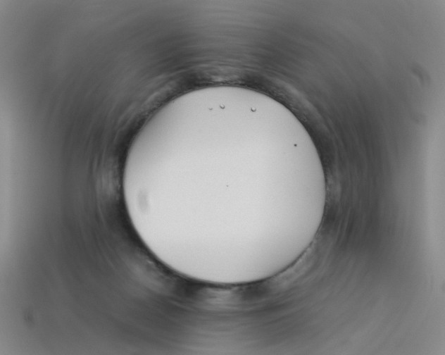 X0000113330170200910131156