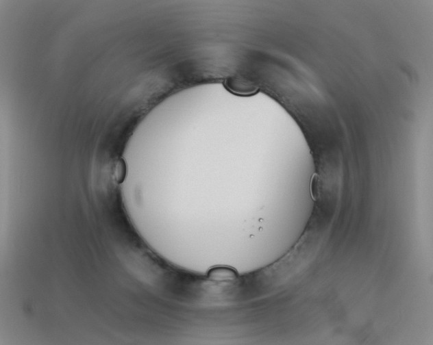 X0000113330172200910131156