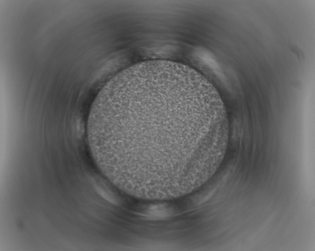 X0000113330173200910131156