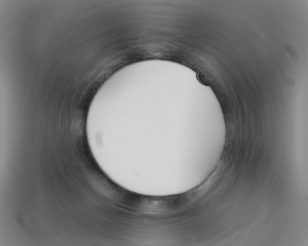 X0000113330174200910131156