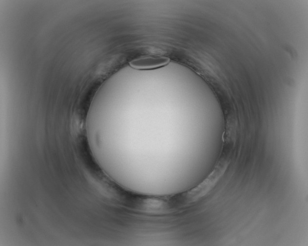 X0000113330176200910131156