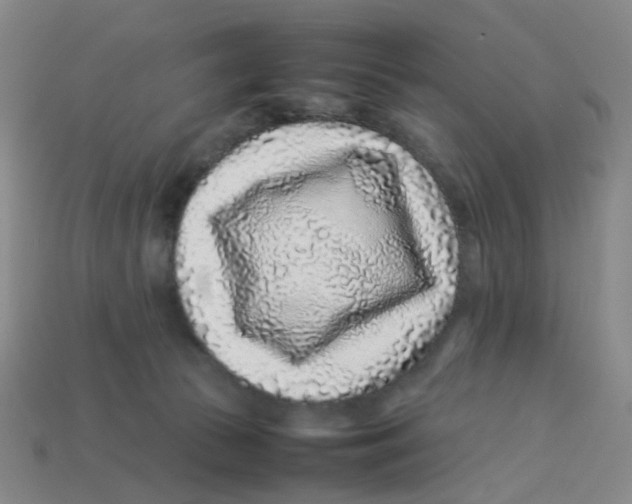 X0000113330177200910131156