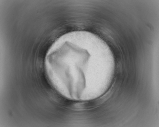 X0000113330178200910131156