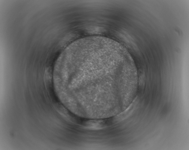 X0000113330179200910131156