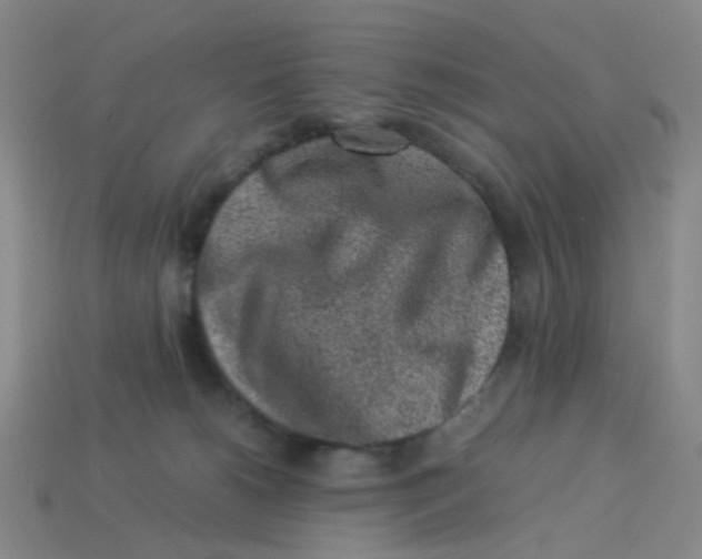 X0000113330180200910131156