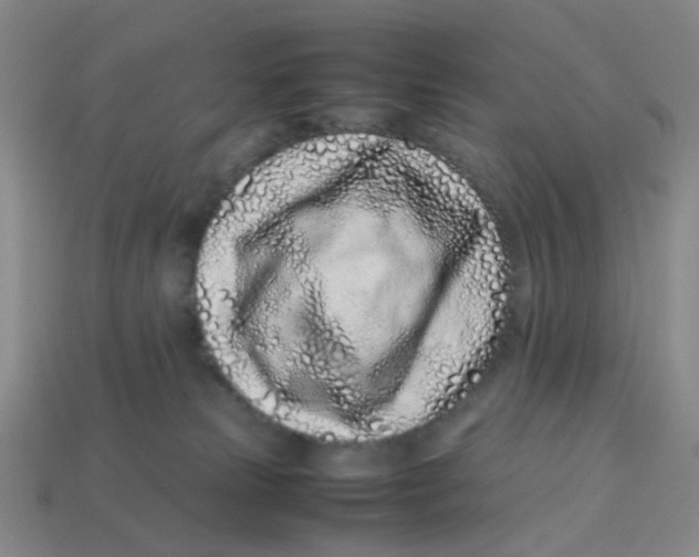 X0000113330181200910131156