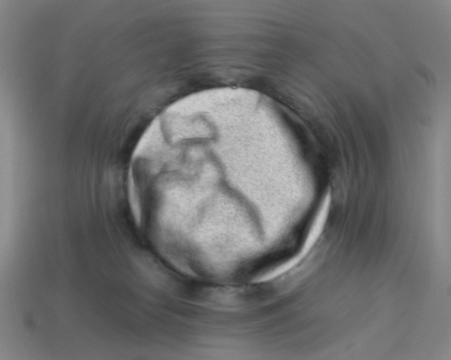 X0000113330182200910131156